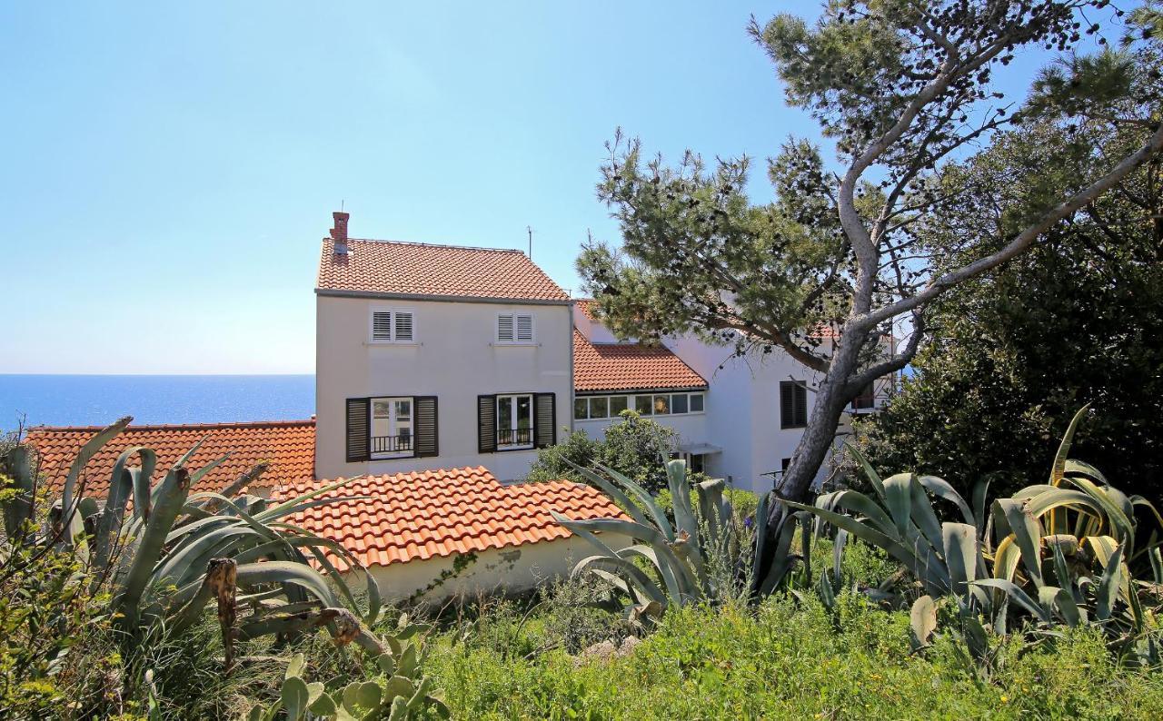Blue Cliff Apartment Dubrovnik Kültér fotó